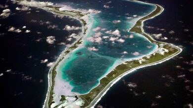 WhatsApp Image 2024 10 25 at 13.20.15