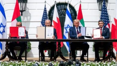 WhatsApp Image 2024 11 10 at 18.55.34