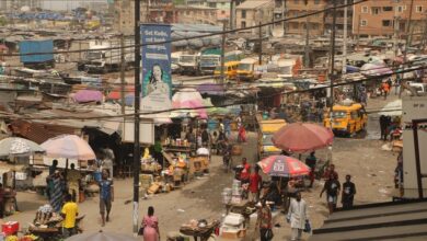 WhatsApp Image 2024 11 13 at 15.06.03