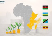 WhatsApp Image 2025 01 31 at 09.45.42