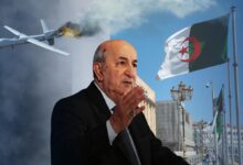 WhatsApp Image 2025 04 04 at 12.51.57