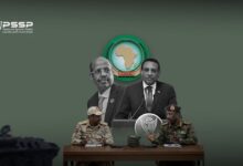 WhatsApp Image 2026 01 17 at 3.20.47 PM