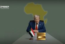 WhatsApp Image 2026 01 22 at 12.46.12 PM